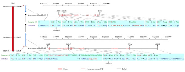 42CAB5D62A8C83B201DF4FDCDB5_BE9EABDB_1F159.jpg 42CAB5D62A8C83B201DF4FDCDB5_BE9EABDB_1F159.jpg