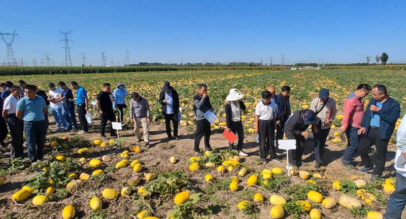 1631753890572745.jpg 1631753890572745.jpg