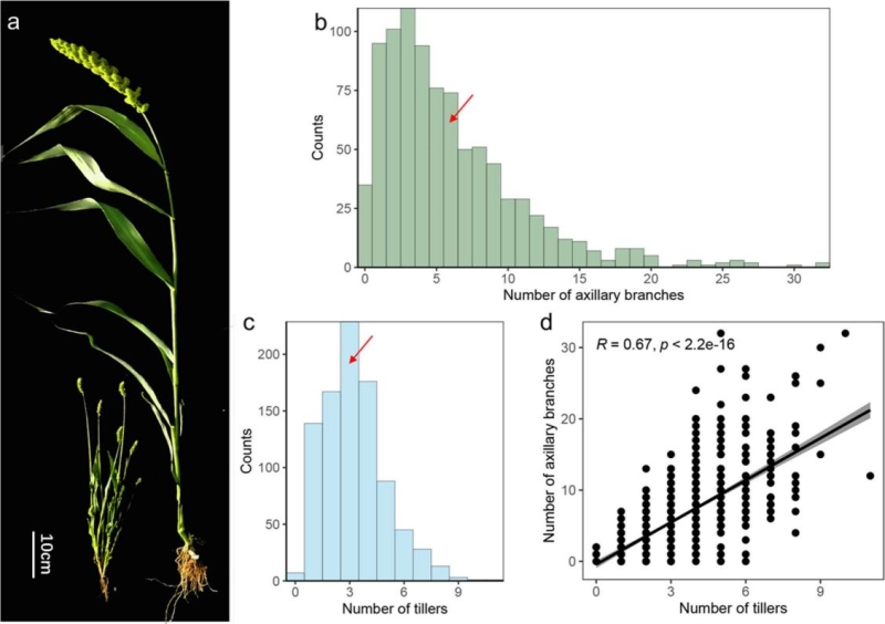 C:\Users\Haier\Desktop\686EA42315E425D49869B7B509D_DFE6459B_219C0.jpg C:\Users\Haier\Desktop\686EA42315E425D49869B7B509D_DFE6459B_219C0.jpg