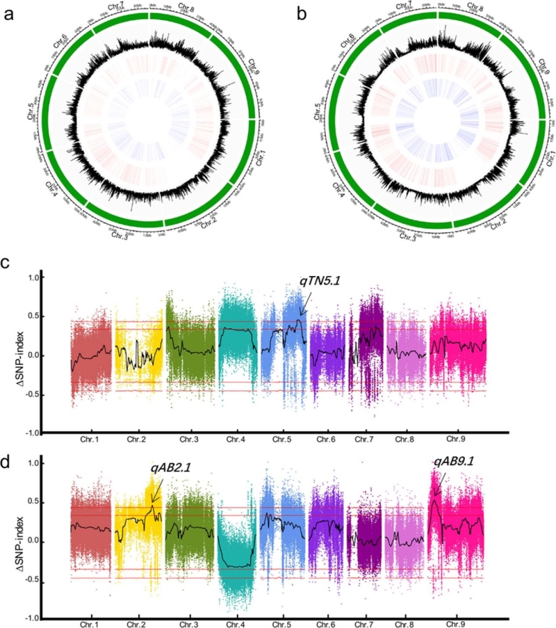 C:\Users\Haier\Desktop\1B61FF81D079D568D598E0DB54D_8E699431_65A44.jpg C:\Users\Haier\Desktop\1B61FF81D079D568D598E0DB54D_8E699431_65A44.jpg
