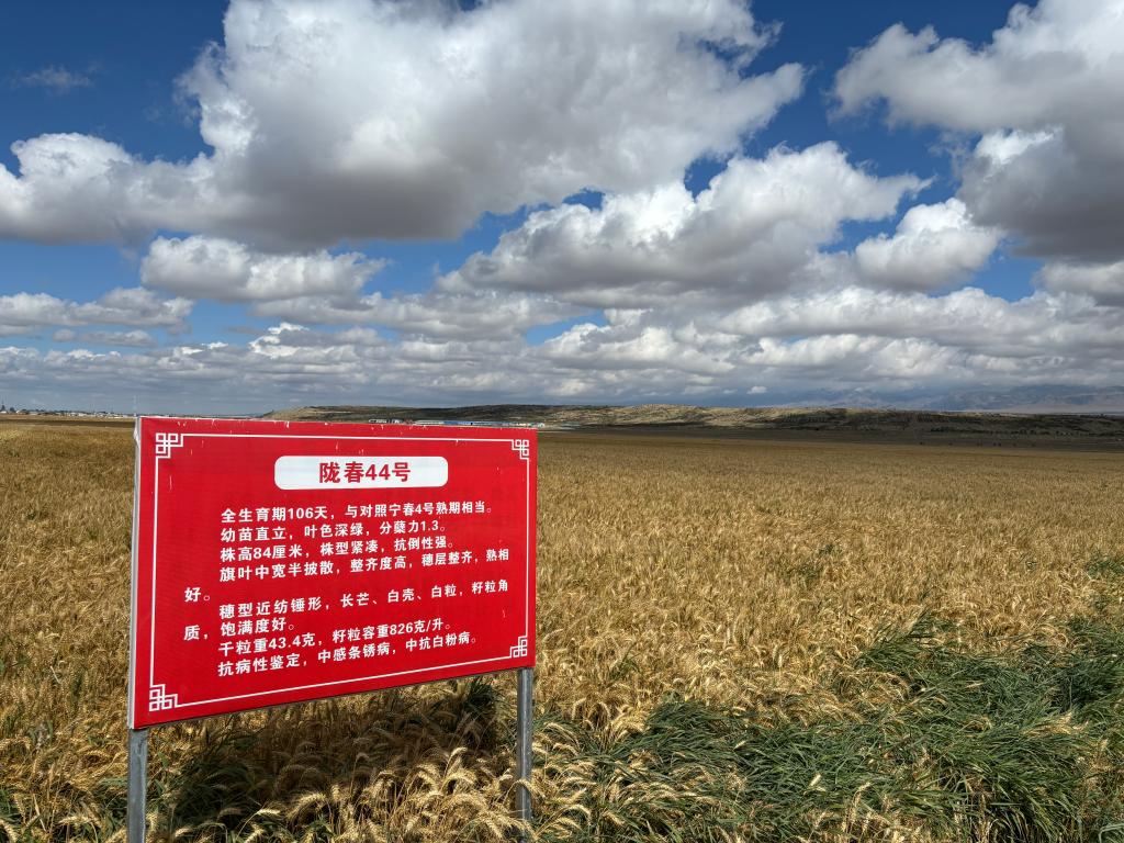 A1AF659F224249E9F1408CBF2A2_F597D1A6_2794A (1).jpg